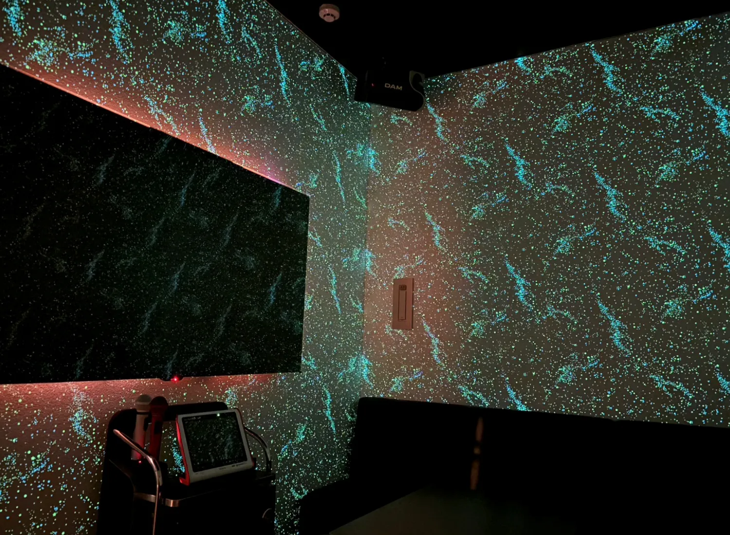 ブラックライトルーム