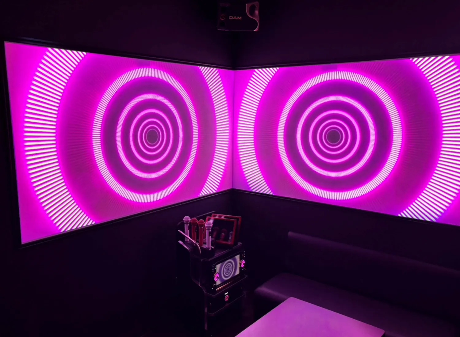 デュアルプロジェクタールーム